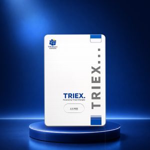TE - A2.56 LOW VOLTAGE BATTERY